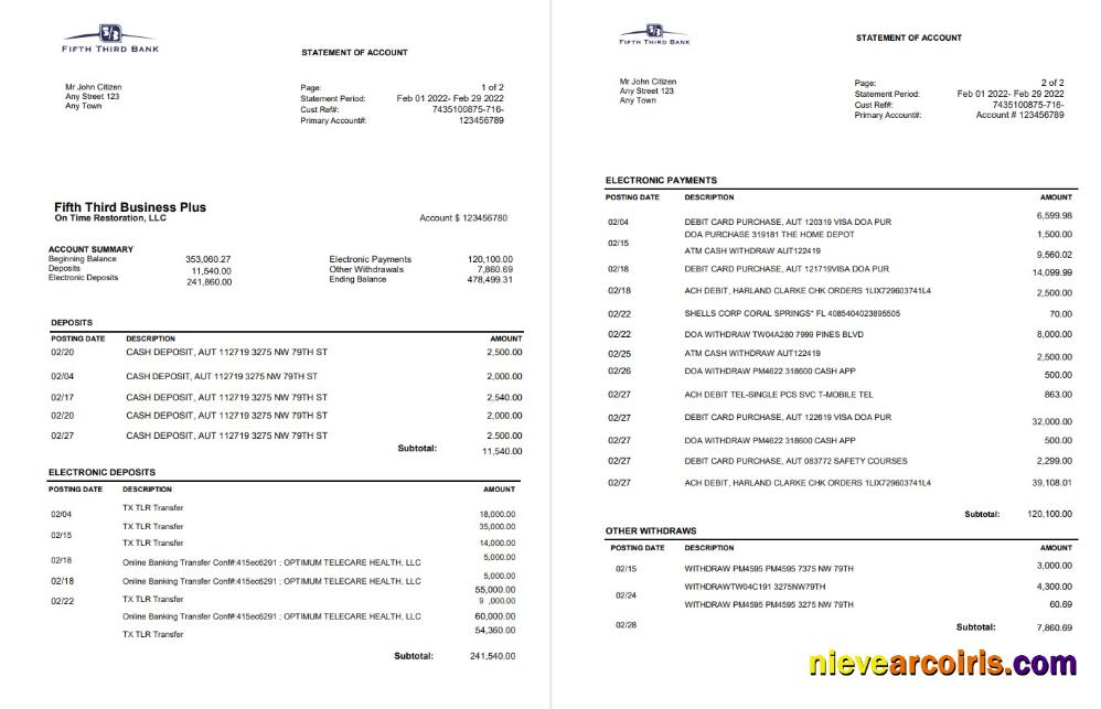 USA Fifth Third Bank statement, Word and PDF, 2 pages